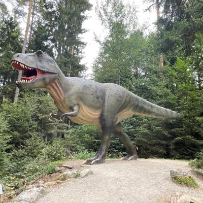 Whatsapp Bild 2023 10 07 Um 16.46.21 Ecdbc983