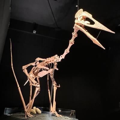 Whatsapp Bild 2023 10 07 Um 16.46.22 1b758070