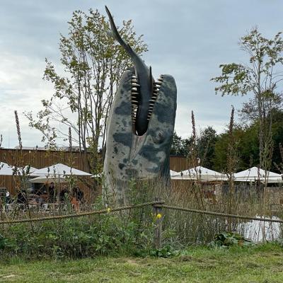 Whatsapp Bild 2023 10 07 Um 16.46.22 9ea536a9