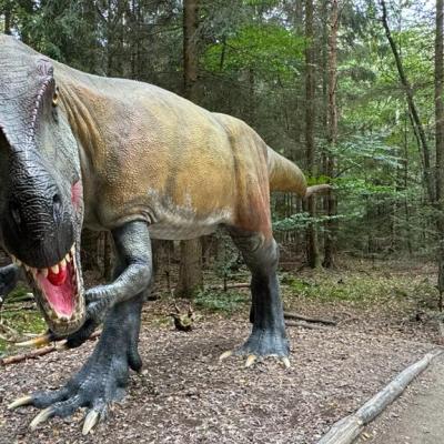 Whatsapp Bild 2023 10 07 Um 17.54.30 17370c11