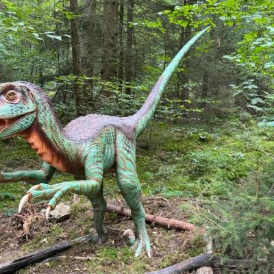 Whatsapp Bild 2023 10 07 Um 17.54.31 1027739e