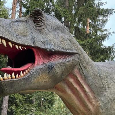 Whatsapp Bild 2023 10 07 Um 17.54.32 F54922b3