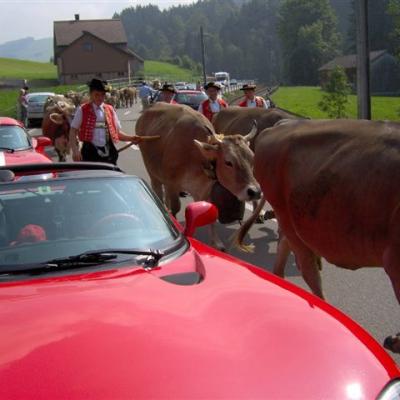 050903 Montafon Vcd 063